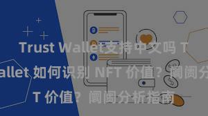 Trust Wallet支持中文吗 Trust Wallet 如何识别 NFT 价值？阛阓分析指南