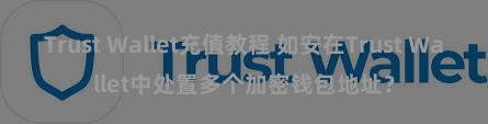 Trust Wallet充值教程 如安在Trust Wallet中处置多个加密钱包地址？