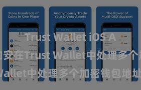 Trust Wallet iOS Android下载 如安在Trust Wallet中处理多个加密钱包地址？